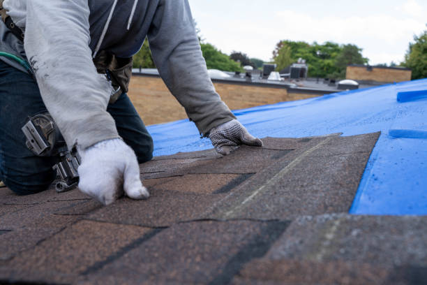 Best Storm Damage Roof Repair  in Hoover, AL